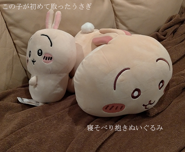 クレーンゲームでうさ