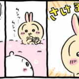 メルヘンチックなうさぎさん　っな訳ないか　ちいかわ漫画
