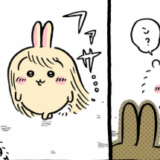 毛量増えた　うさぎさん面白すぎ　ちいかわ漫画