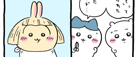 毛量増えた　その3　うさぎさん面白すぎ　ちいかわ漫画