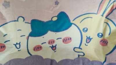 クレーンゲームで最近ゲットした、ちいかわ 超BIGマイヤーブランケット