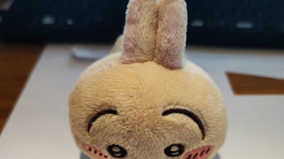 マスコットを綺麗にしました。ちいかわ　うさぎさん