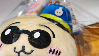 ついに巡り合えたよ！パイロット　うさぎさん。ヤハ！