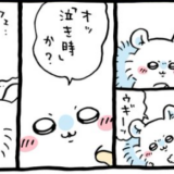 ちいかわ漫画　2話分　うさぎ対ももんがとちいかわの眉毛
