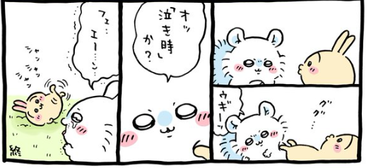 ちいかわ漫画　2話分　うさぎ対ももんがとちいかわの眉毛