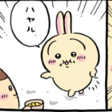 ハヤル　うさぎさん　ちいかわ漫画