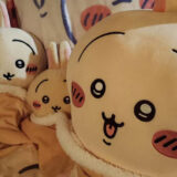 うさぎさん！ソファー侵略。置くところが無くなってきた。