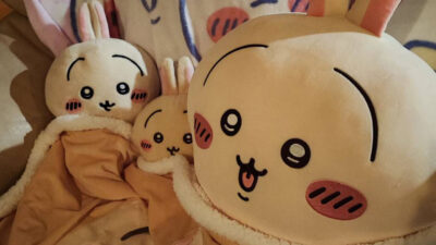 うさぎさん！ソファー侵略。置くところが無くなってきた。