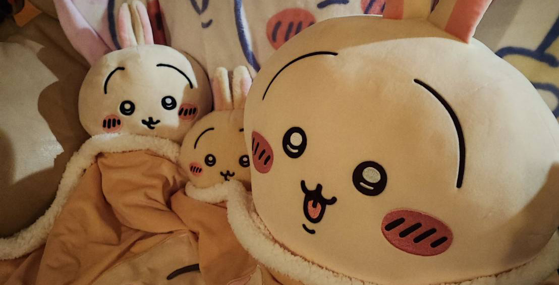 うさぎさん！ソファー侵略。置くところが無くなってきた。