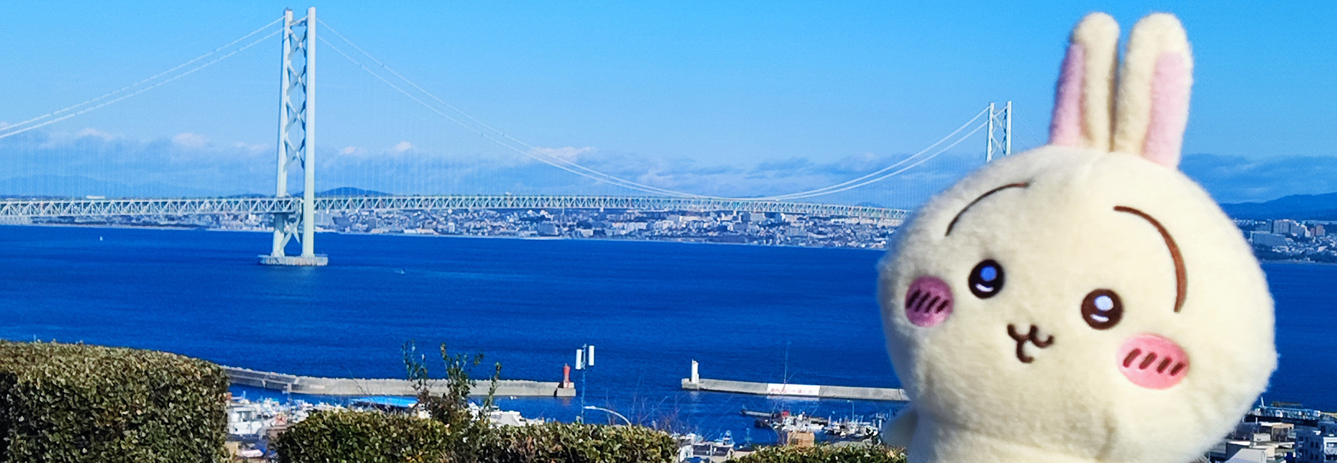 ちいかわ好きなおじさんのブログ