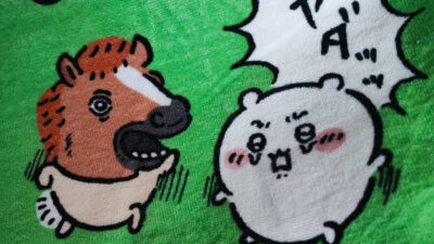 かけぬけろ～～！！馬を被ったうさぎマスコットを買いに東京へ