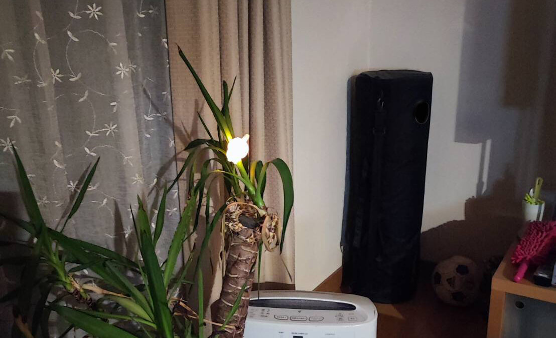 ちいかわ ライト クリップ　光ってます！　これで４００円