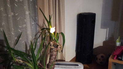 ちいかわ ライト クリップ　光ってます！　これで４００円