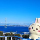 午年　駆け抜けろ！今年もちい活がんばります。ヤハ！