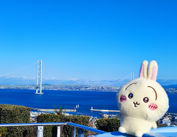 午年　駆け抜けろ！今年もちい活がんばります。ヤハ！