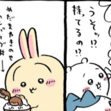 ちいかわ漫画　デミ　ドミ　ハンバーグ丼