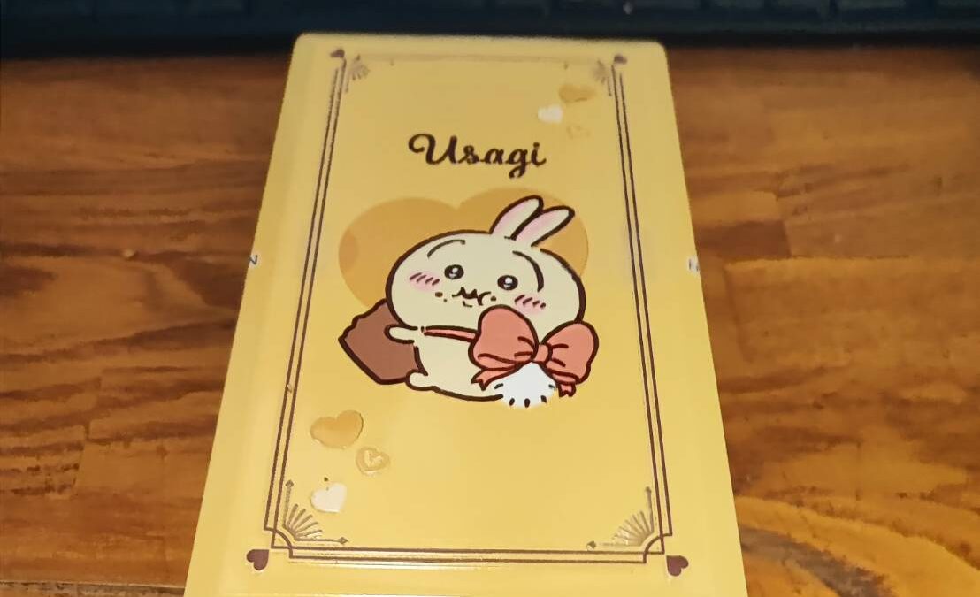 ハッピーバレンタイン　うさちょこ貰いました。