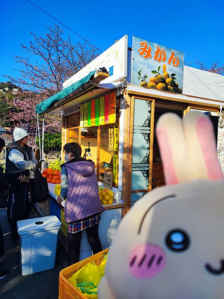 生絞りジュースとうさぎさん。