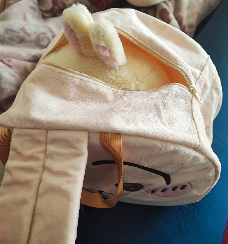 ちいかわ うさぎ ビッグボストン