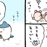 ちいかわ漫画　考察　草むしり　四級編の序章　ちいかわとハチワレ