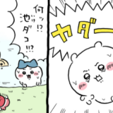 池タコ対ちいかわ