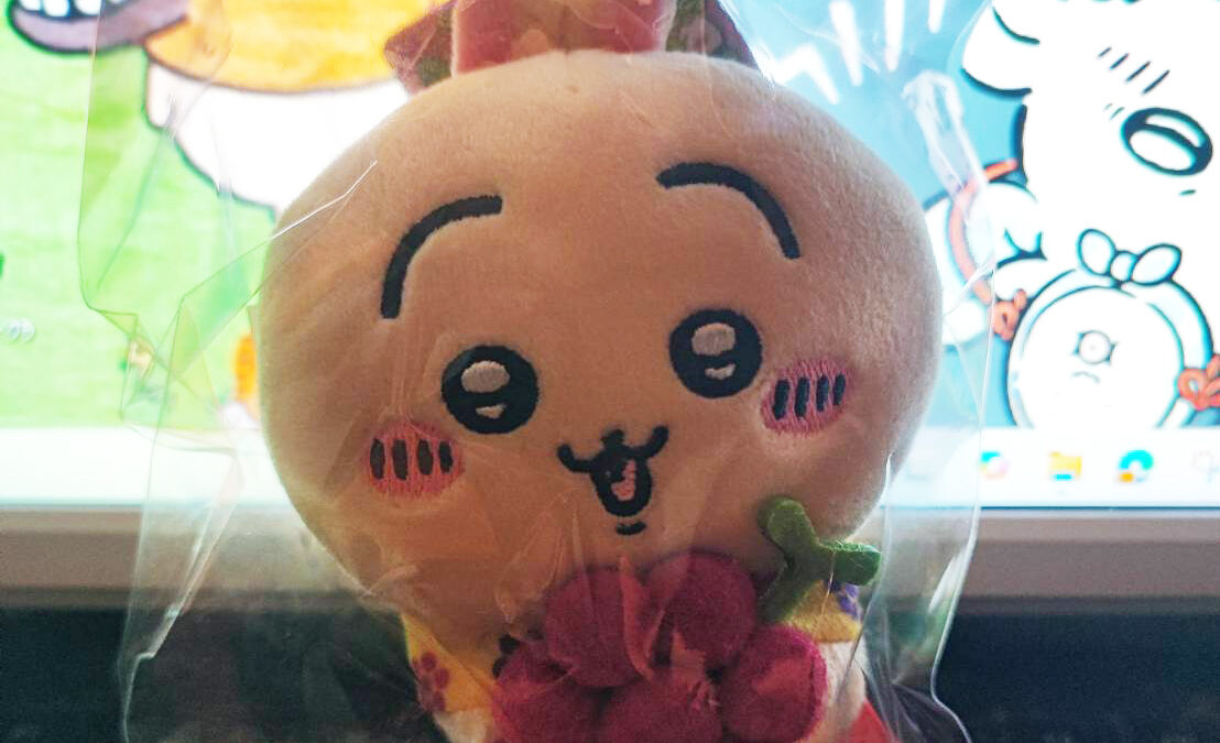 ほうとう食べに山梨方面へ・・・なぜかちい活になりました。